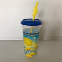 Plastic 32oz Clear Or White Cup w/Straw and Lid